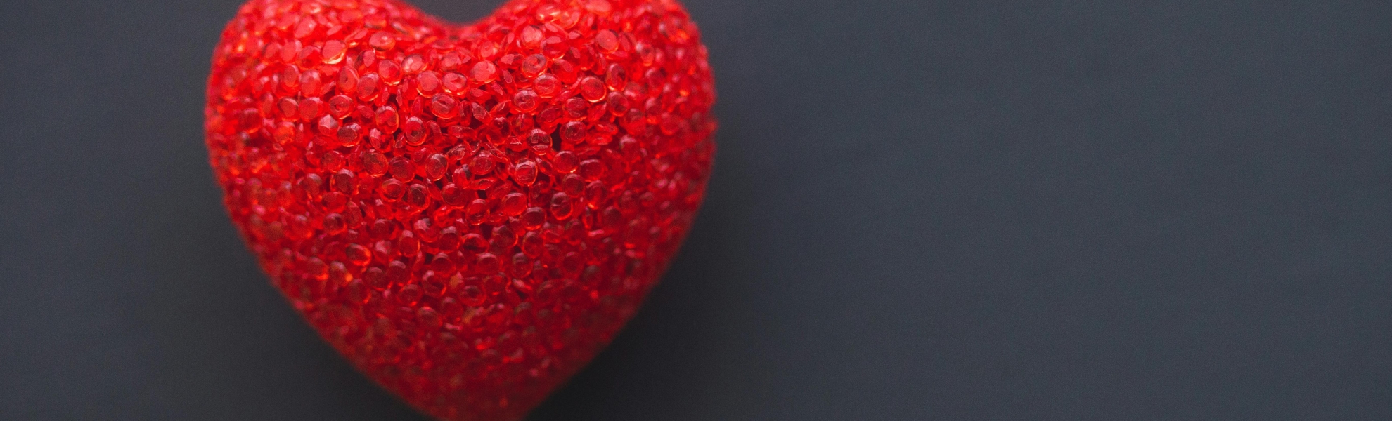 La comisión de salud impulsa proyectos en el ámbito sanitario y comunitario